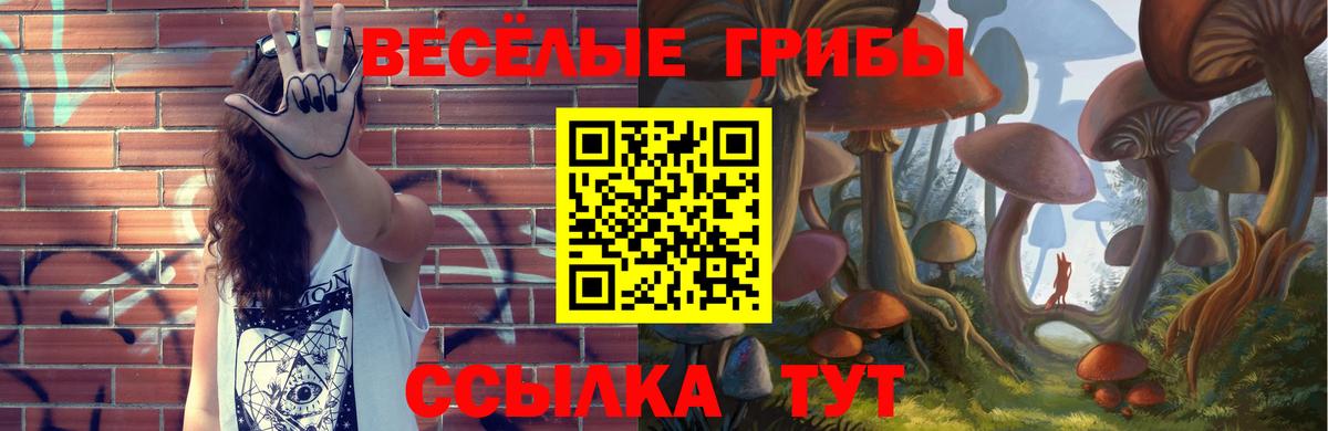 Галлюциногенные грибы GOLDEN TEACHER  сколько стоит  Красный Сулин  Вход с VPN 